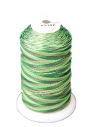 Exquisite Medley Variegated Thread - Forest 5000M V5102