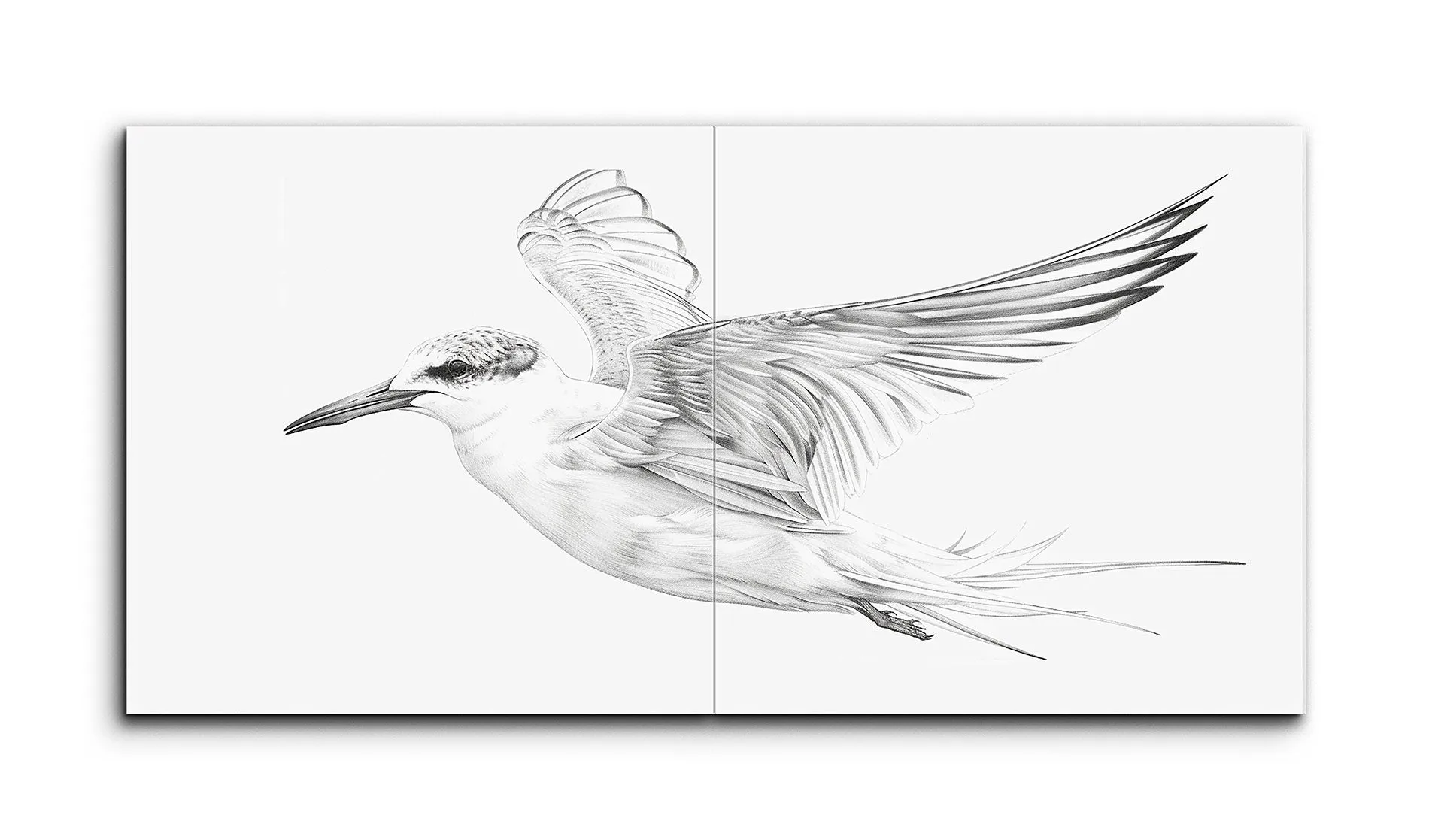 Graceful Flight: Realistic Grayscale Bird Art