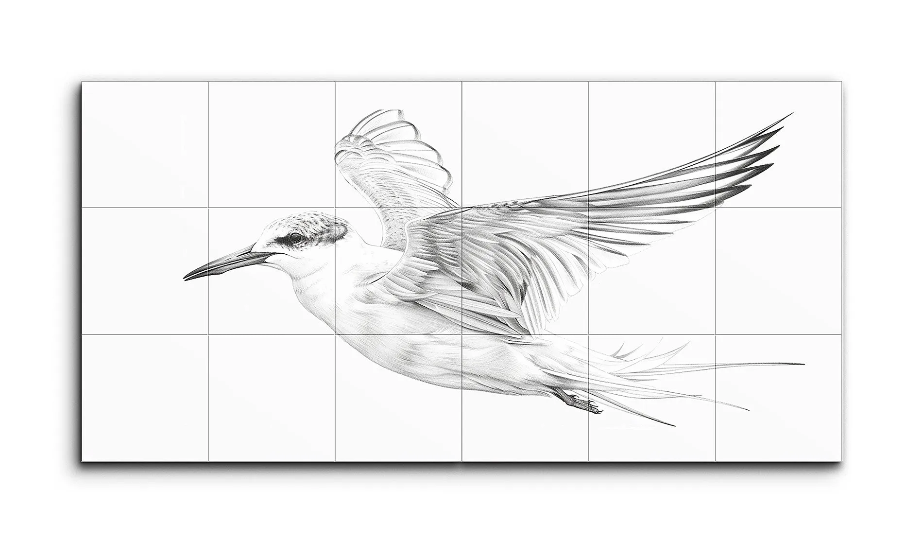 Graceful Flight: Realistic Grayscale Bird Art