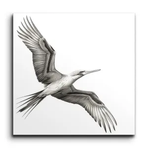 Graceful Monochrome Bird in Flight