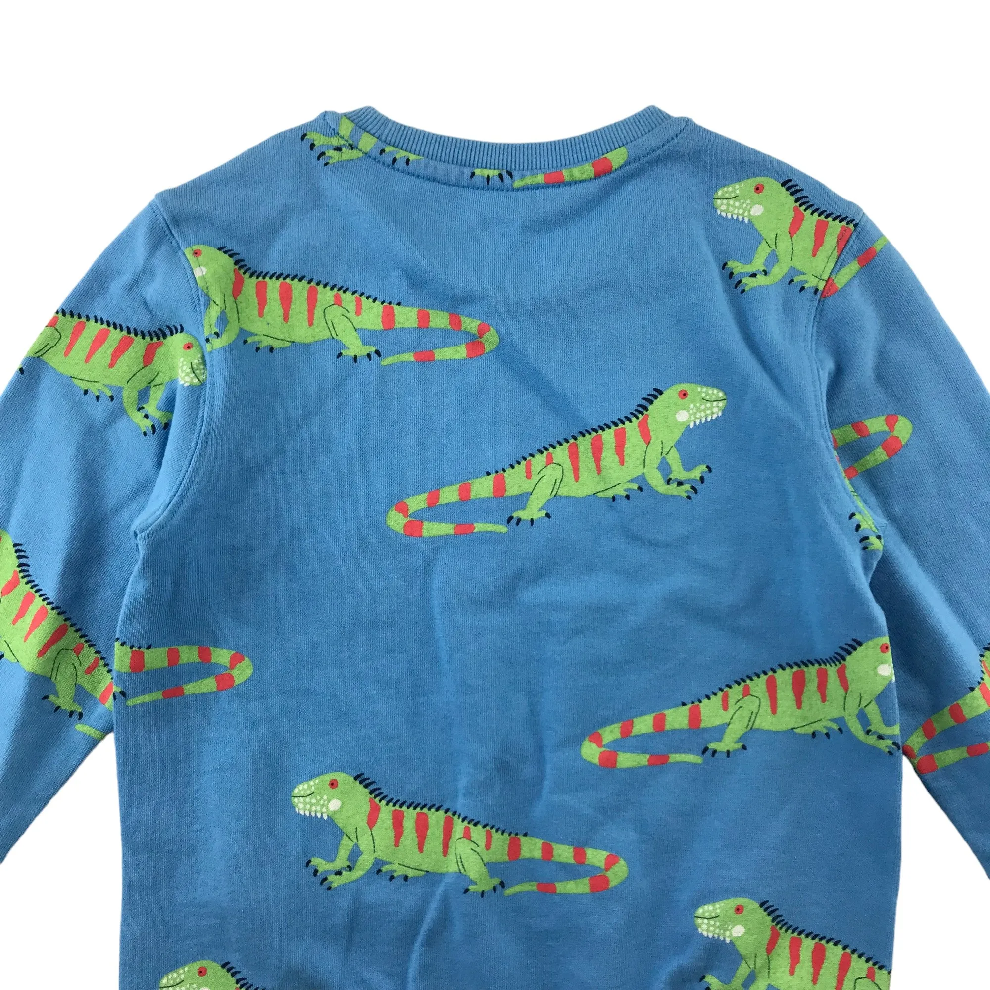 M&S sweater 5-6 year blue lizard graphic print design