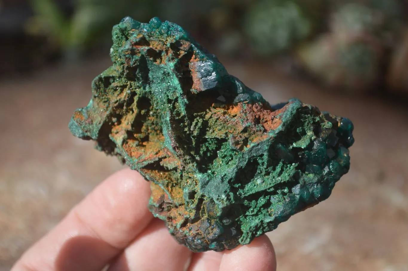 Natural Large Dioptase With Malachite Specimens x 2 From Likasi, Congo