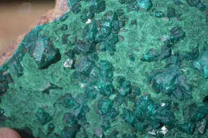 Natural Large Dioptase With Malachite Specimens x 2 From Likasi, Congo