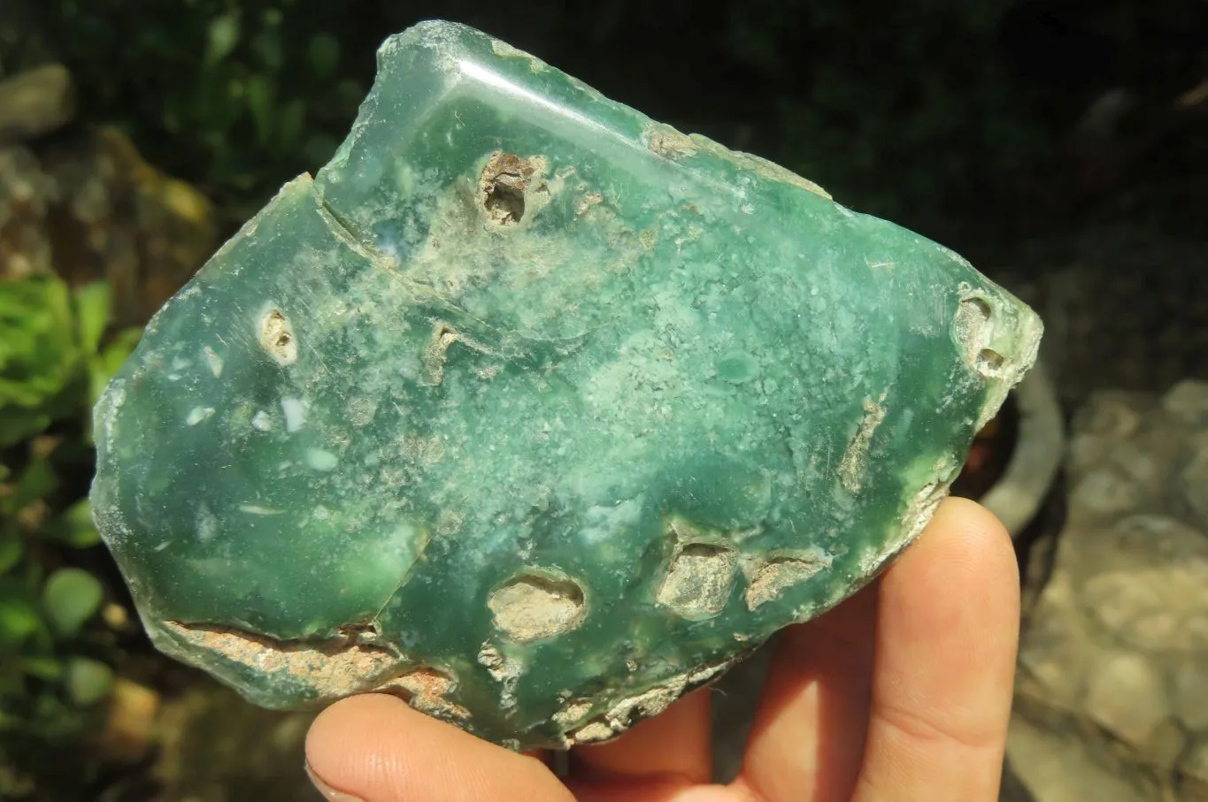 Polished On One Side Emerald Mtorolite x 6 From Mutorashanga, Zimbabwe