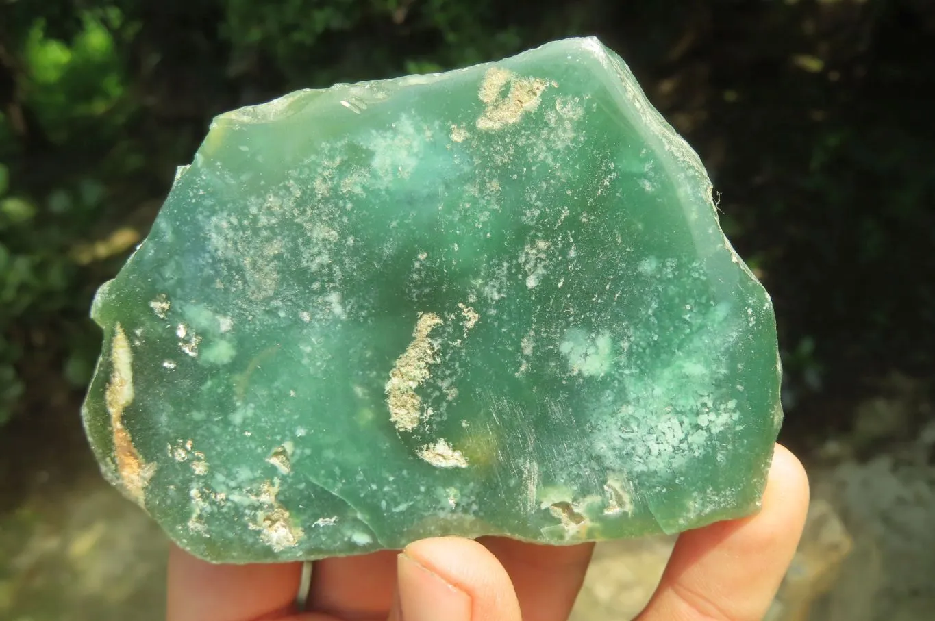 Polished On One Side Emerald Mtorolite x 6 From Mutorashanga, Zimbabwe